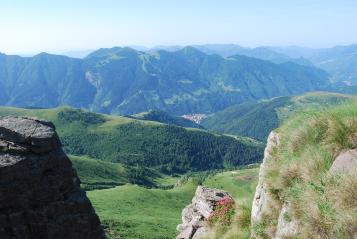 PIC PIC